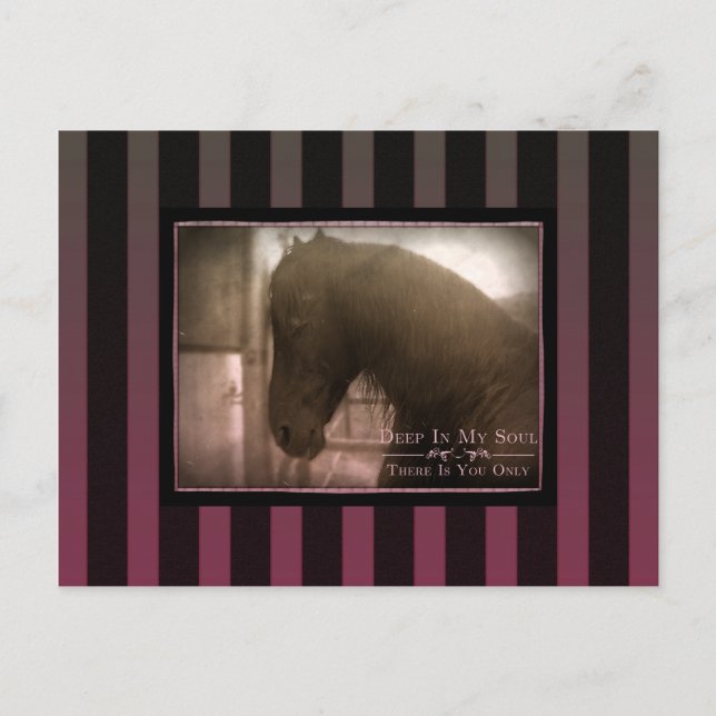 Postal Dreamy - Postcard (Anverso)