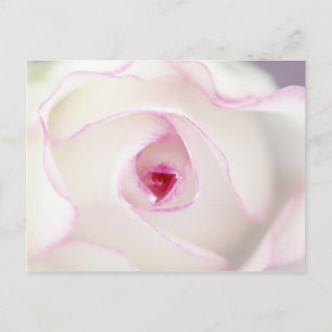 Postal Dreamy rosa