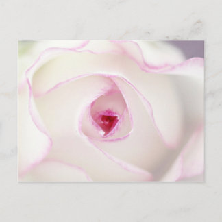 Postal Dreamy rosa