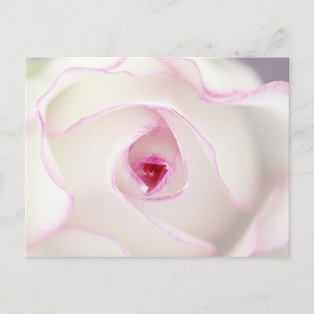 Postal Dreamy rosa (Anverso)
