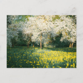 Postal Dreamy spring orchard