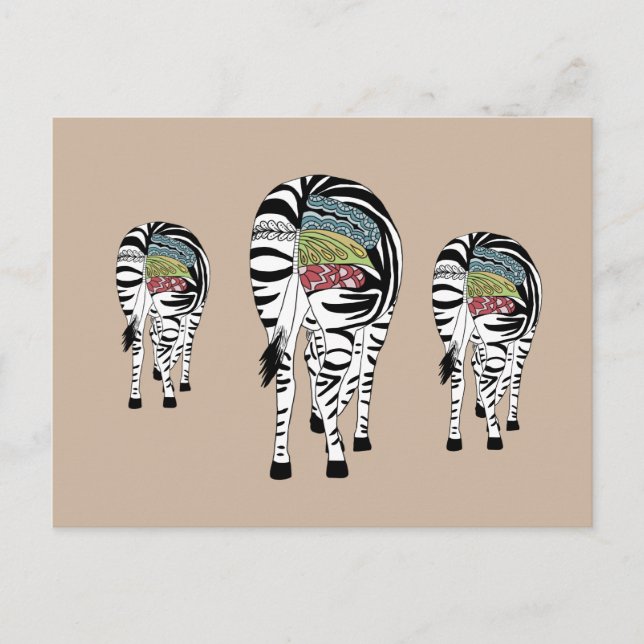 Postal Drei Zebras  (Anverso)