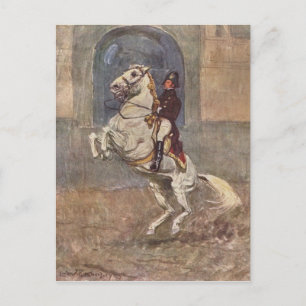 Postal Dressage Show Horse