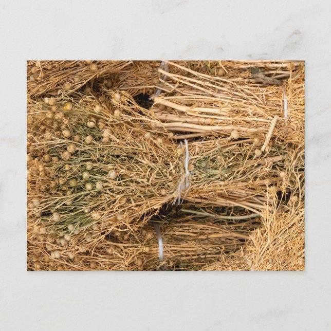 Postal Dried Harmal  (Anverso)