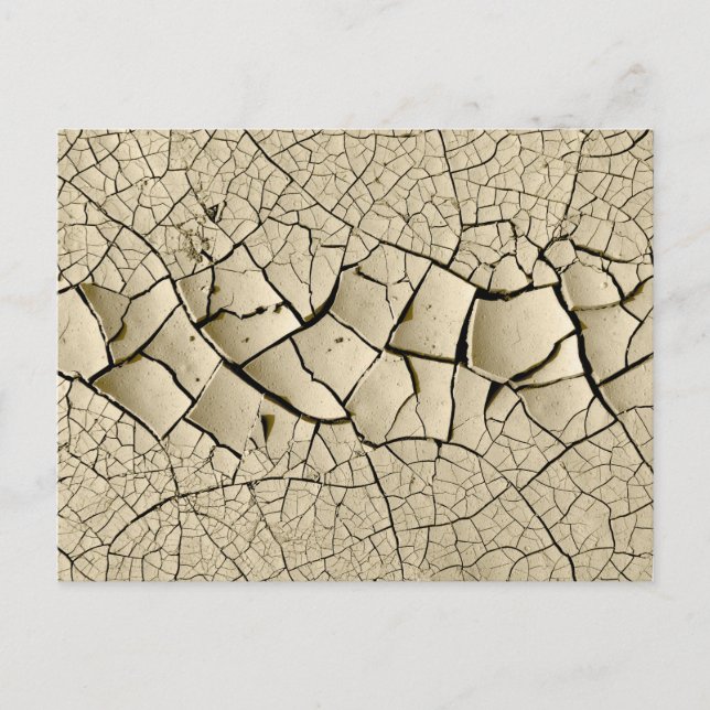 Postal Dried Mud (Anverso)