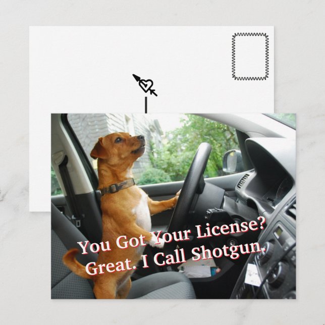 Postal Driver’s License Congratulations Postcard (Anverso / Reverso)
