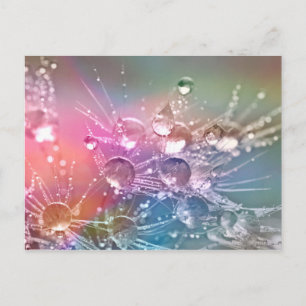 Postal Drogas de agua