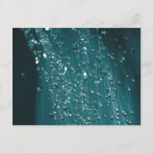 Postal Drogas de agua