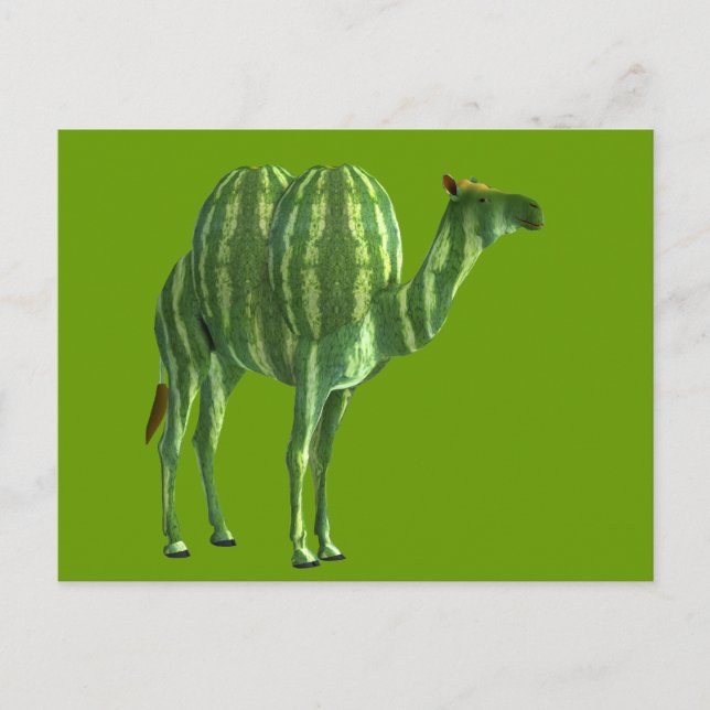 Postal Dromedary Day (Anverso)