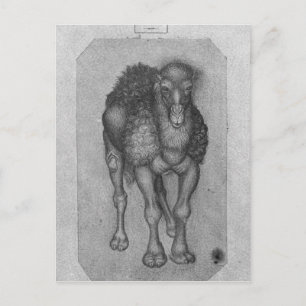 Postal Dromedary, del álbum The Vallardi