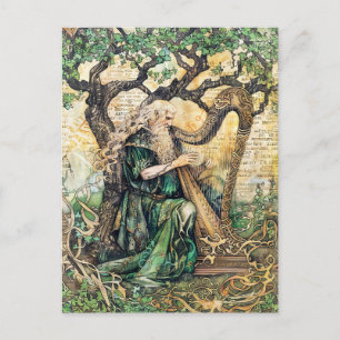 Postal Druida Sacerdote sabio celta de la naturaleza