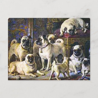 Postal Drumpellier Pugs