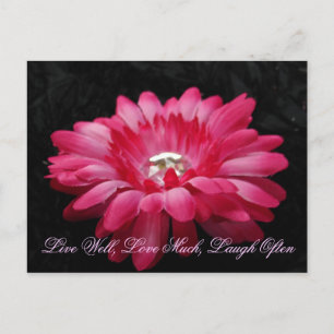 Postal DSC00005 (2), Vivir Bien, Amar Mucho, Reír A Menud