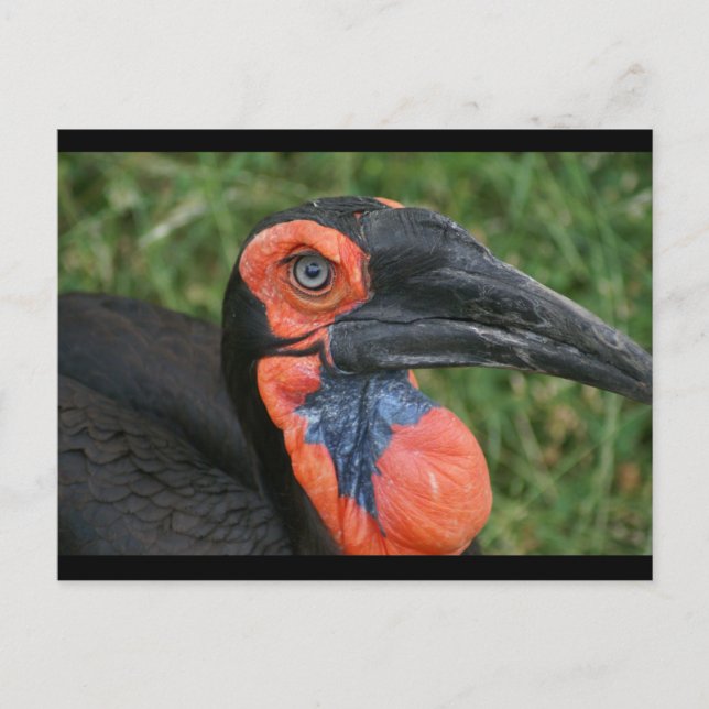 POSTAL DSC00171 (Anverso)