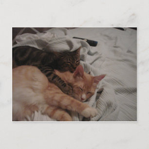 Postal dsc00178[1] (2)