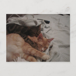 Postal dsc00178[1] (2)