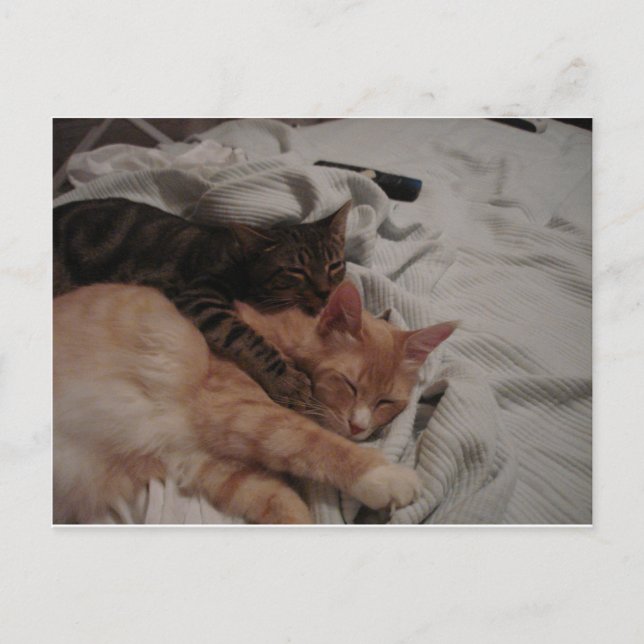 Postal dsc00178[1] (2) (Anverso)