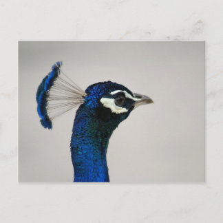 POSTAL DSC00292