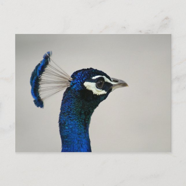 POSTAL DSC00292 (Anverso)