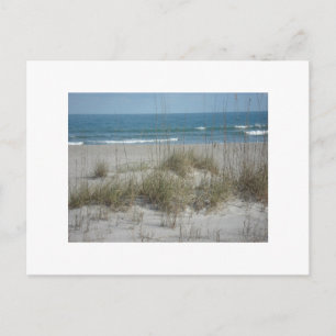 Postal DSC04194, Cocoa Beach, FLPhoto por Julie.B.Carter