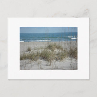 Postal DSC04194, Cocoa Beach, FLPhoto por Julie.B.Carter