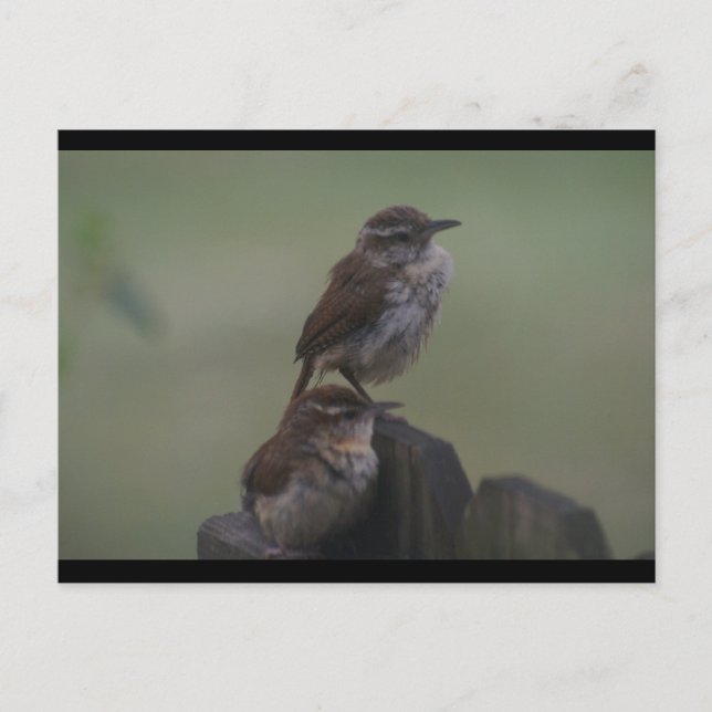 POSTAL DSC07310 (Anverso)