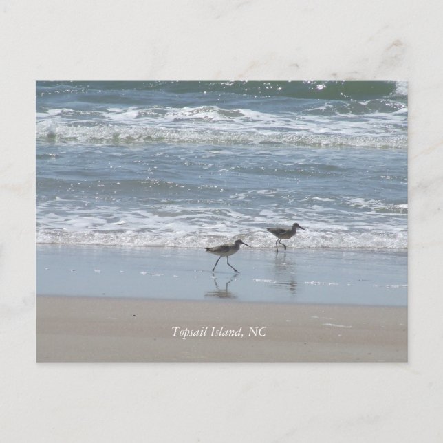 Postal DSCF2949, isla de Topsail, NC (Anverso)