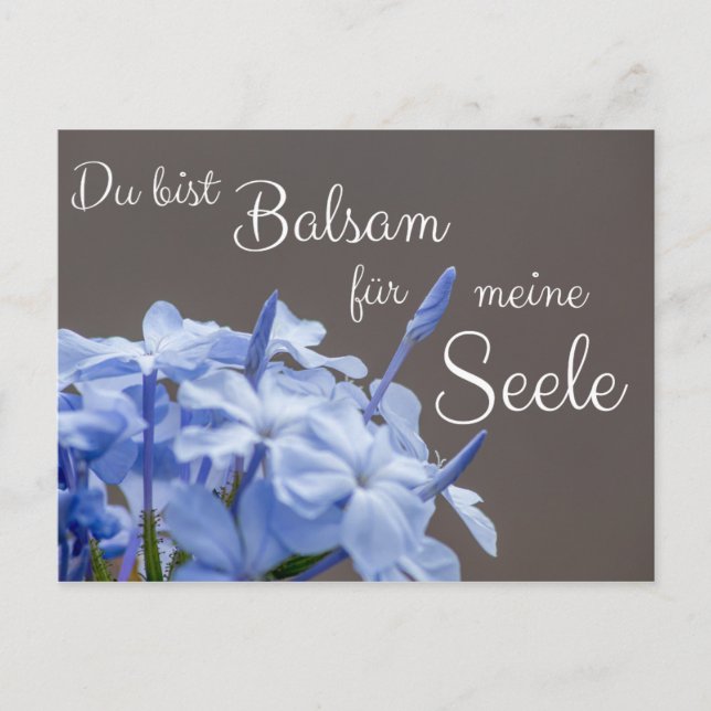Postal Du bist Balsam für meine Seele! (Anverso)