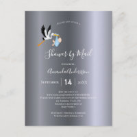 Ducha por correo cigüeñas bebé plata lindo