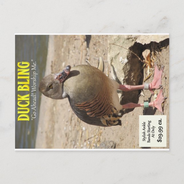Postal Duck Bling (Anverso)