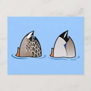Postal Duck Butts