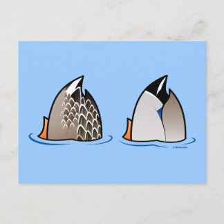 Postal Duck Butts