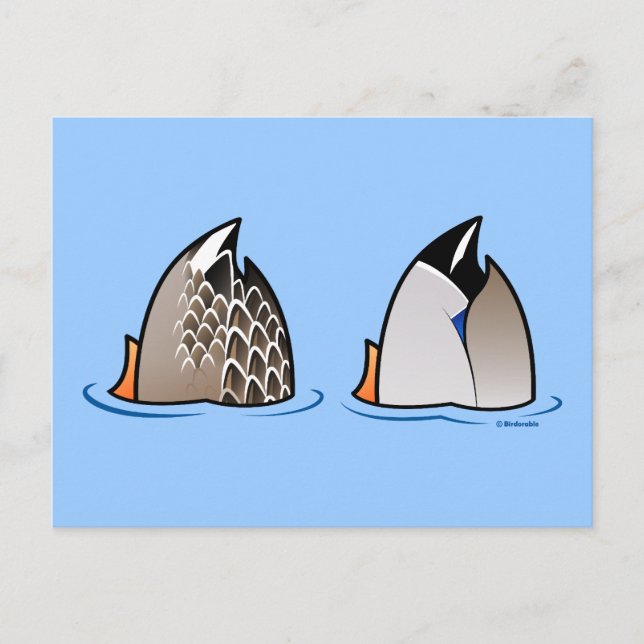 Postal Duck Butts (Anverso)