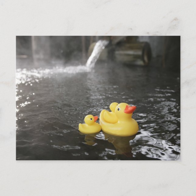 Postal Duckies de goma japonés (Anverso)