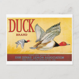 Postal Ducks Lemons San Dimas Los Angeles California