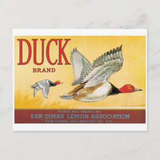 Postal Ducks Lemons San Dimas Los Angeles California