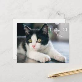 Postal Dulce "Pensando En Ti" Tuxedo Kitten Saludo