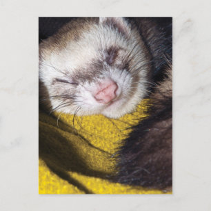 Postal Dulces sueños