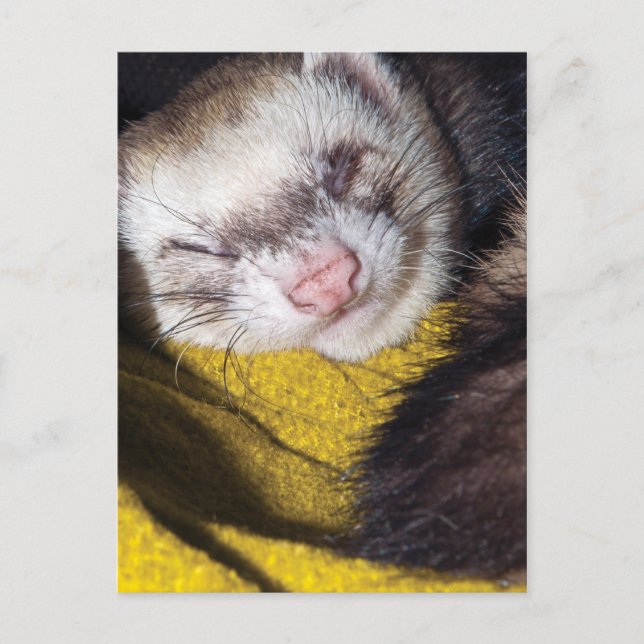 Postal Dulces sueños (Anverso)