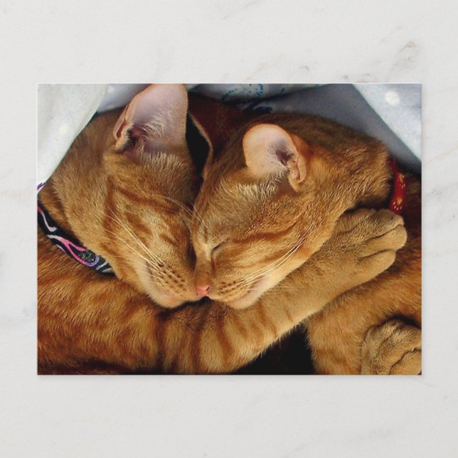 Postal Dulces sueños (Anverso)