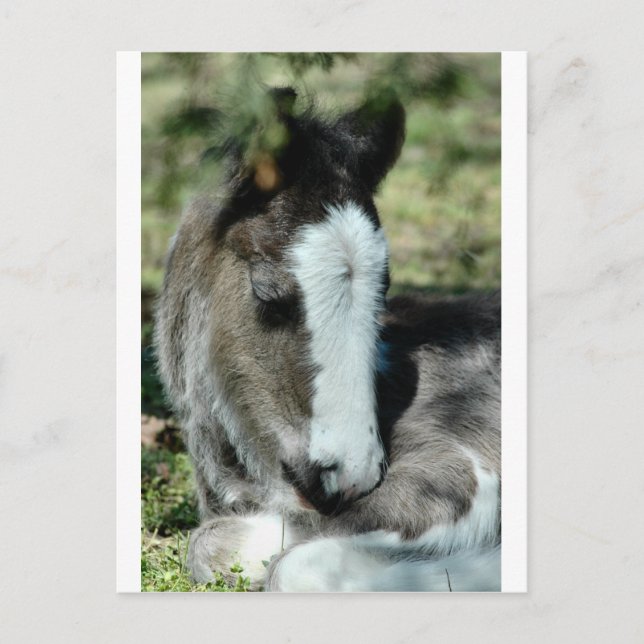 Postal Dulces sueños (Anverso)