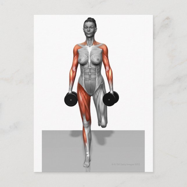 Postal Dumbbell Single Leg Deadlift 4 (Anverso)