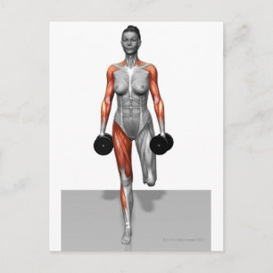 Postal Dumbbell Single Leg Deadlift 4