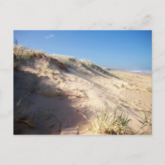 Postal Duna de arena