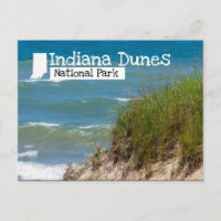 Duna de playa del Parque Nacional Indiana Dunes
