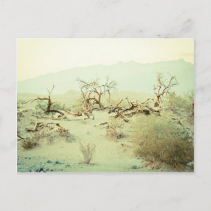 Postal Dunas de arena del Valle de la Muerte