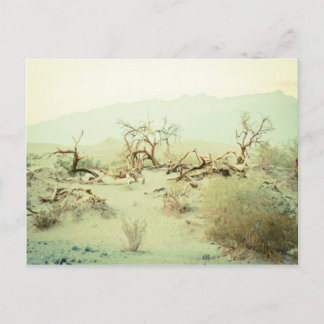 Postal Dunas de arena del Valle de la Muerte