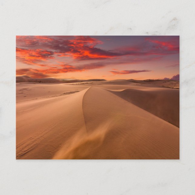Postal Dunas de arena en el desierto al atardecer (Anverso)