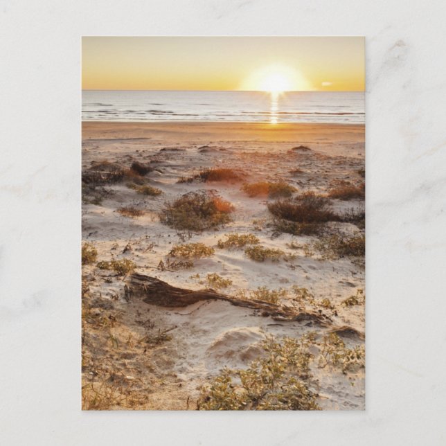 Postal Dunas de arena malaquitas (Anverso)