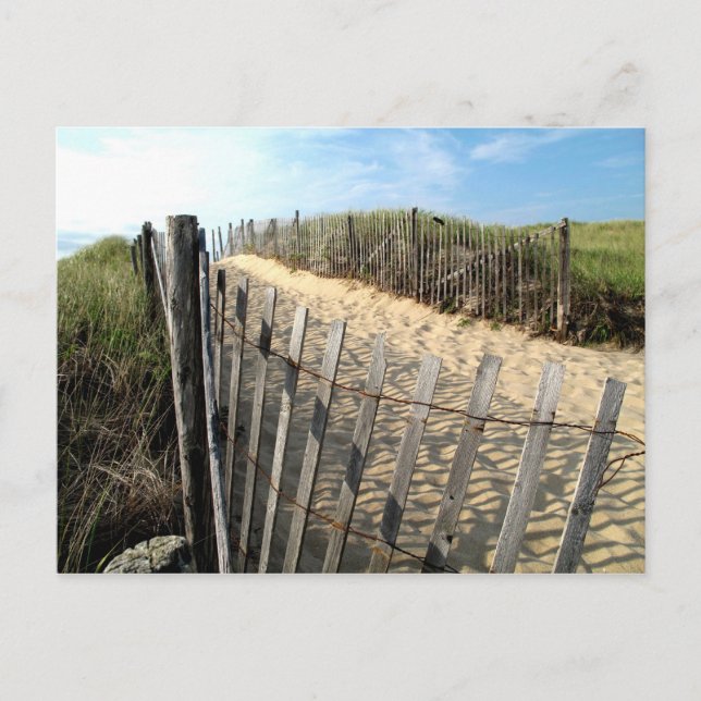 Postal Dunas de Cape Cod (Anverso)